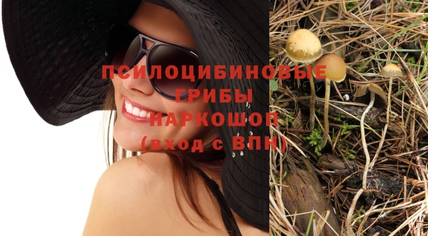 эйфоретик Заводоуковск