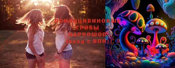 эйфоретик Заводоуковск